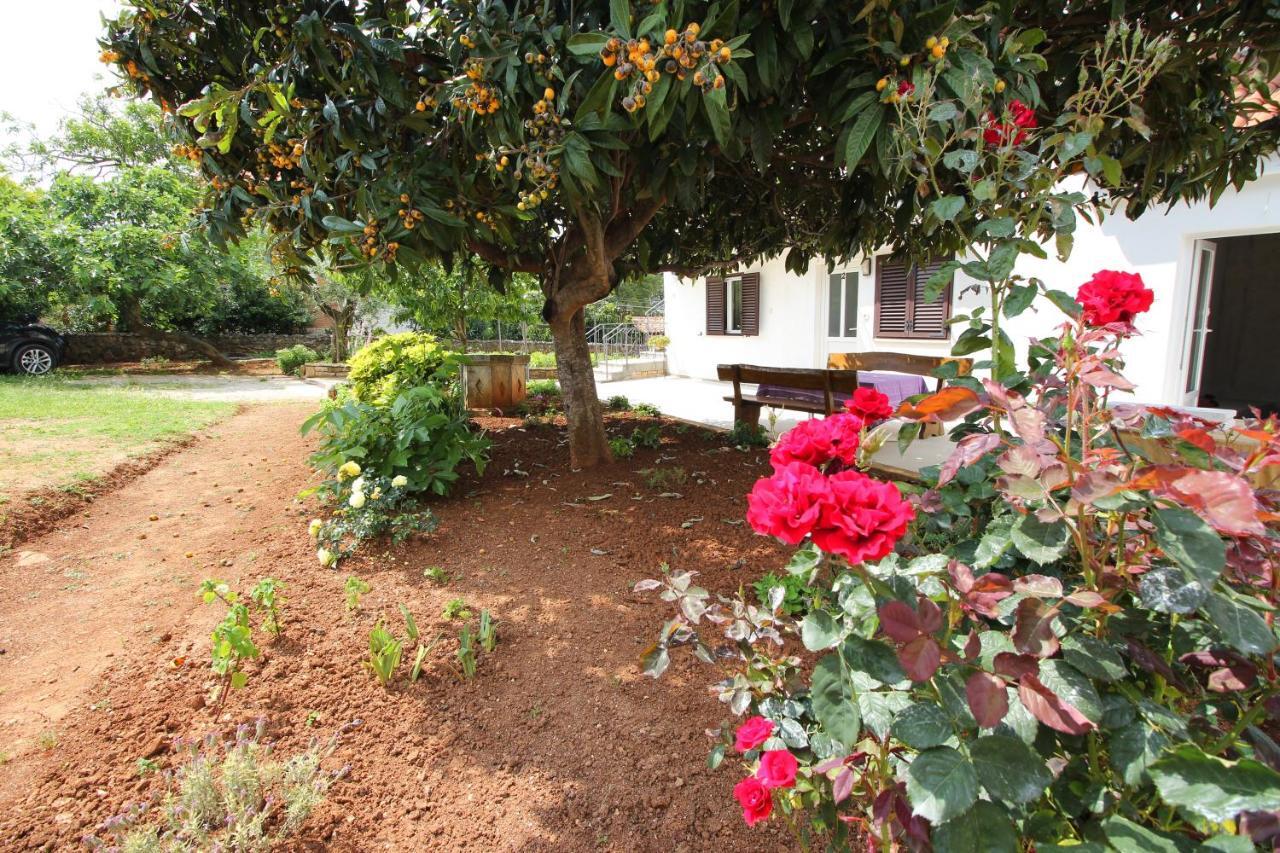 Casa Lidija Διαμέρισμα Ρόβινι Εξωτερικό φωτογραφία